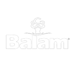 Balam International School