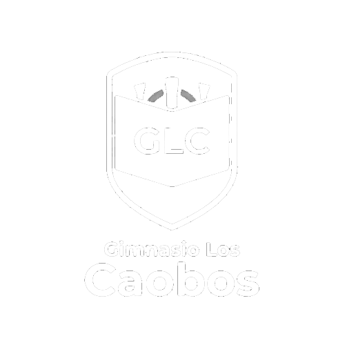 Gimnasio Los Caobos